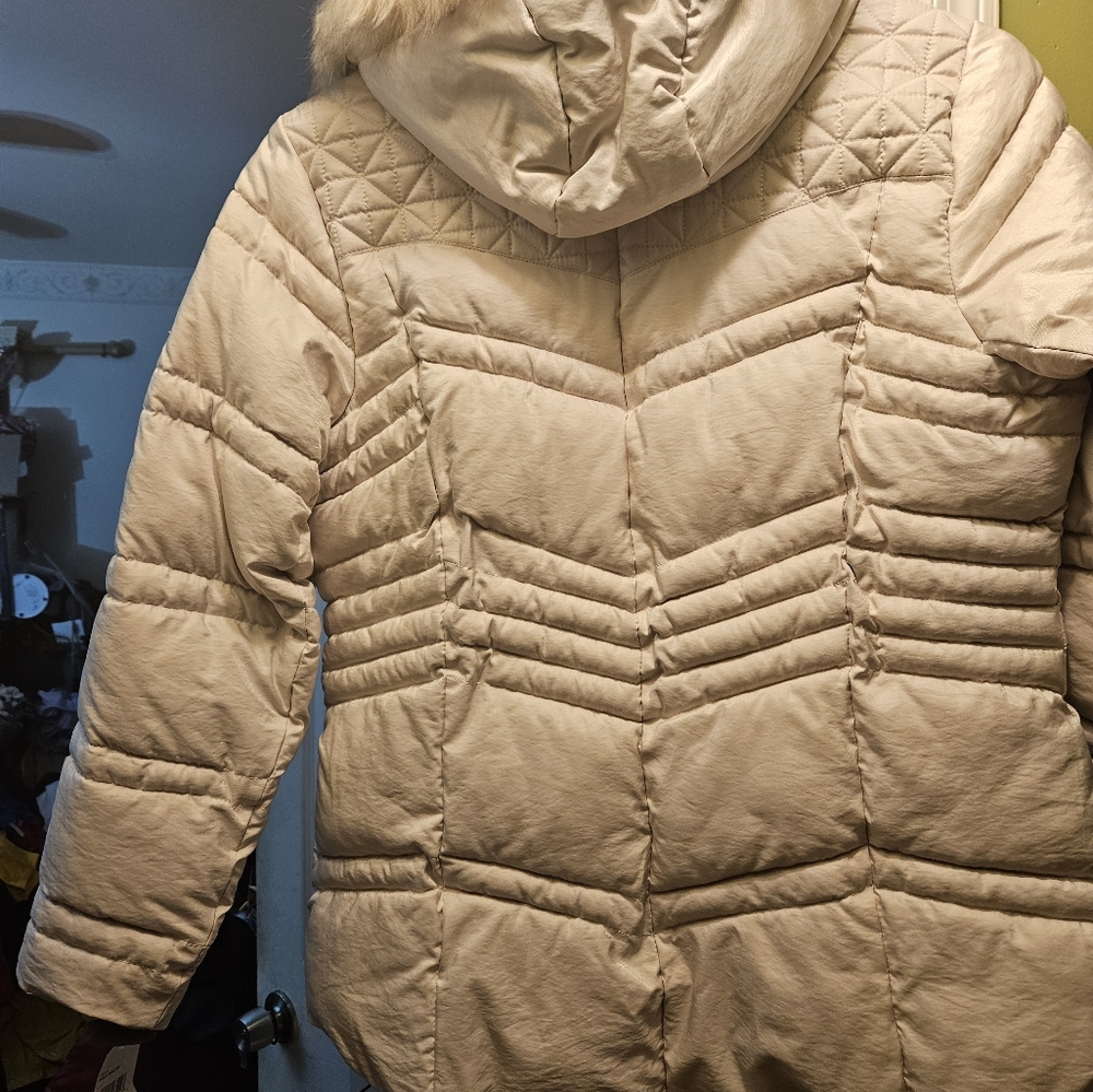 Winter Jacket - Picture 5 of 5